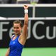 Titelverdediger Tsjechië stoot door naar halve finales Fed Cup