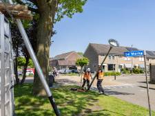 Bijna 500 nieuwe lantaarnpalen neergezet in Hasselt – én ze zijn energiezuinig