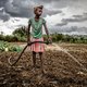 Opinie: Poetin de schuld geven van de hongersnood in Afrika is een zwaktebod