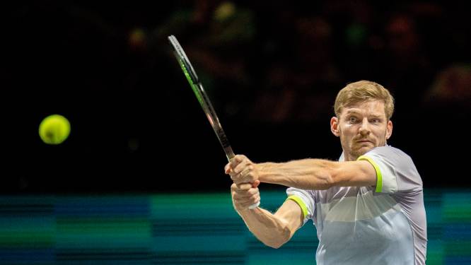 David Goffin déclare forfait pour la tournée américaine 