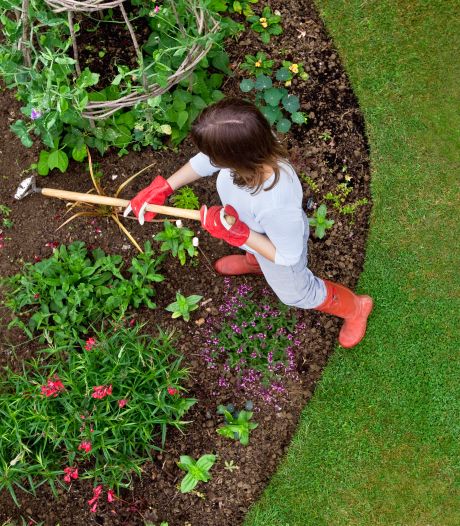 Des conseils pour gagner la bataille contre les mauvaises herbes