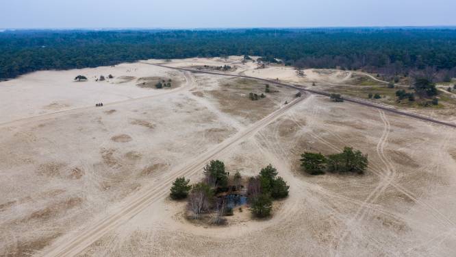 Natuurgebieden op slot voor wandelaars? Veluwse gemeenten komen in verzet