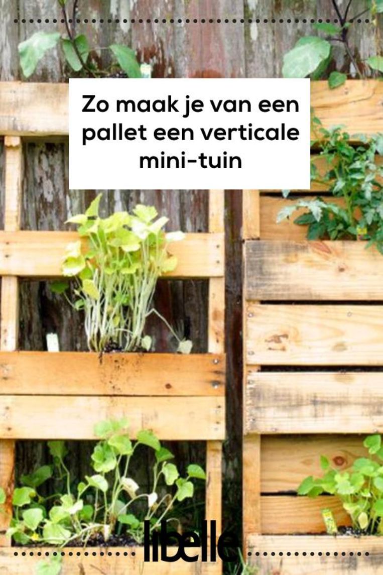 vragen Kan worden berekend Rijd weg Zó maak je van een pallet een verticale mini-tuin | Libelle