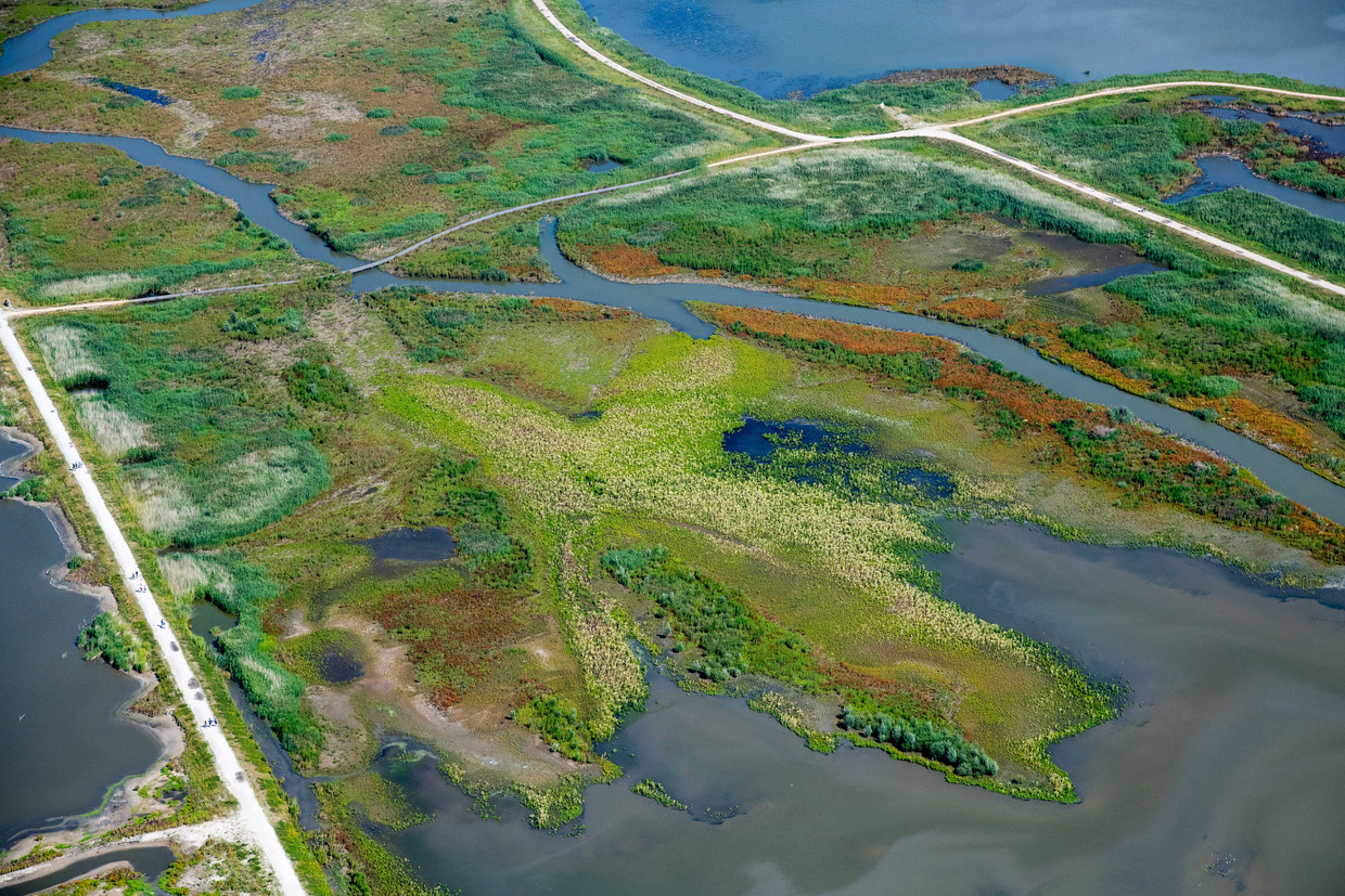Luchtfoto van de Marker Wadden. Het gebied is volgens Natuurmonumenten een van de grootste natuurherstelprojecten in Europa, bedoeld om de biodiversiteit terug te brengen. Beeld Hollandse Hoogte /  ANP