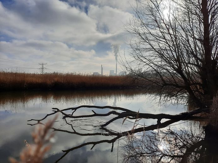 De Amercentrale gezien vanuit de Biesbosch