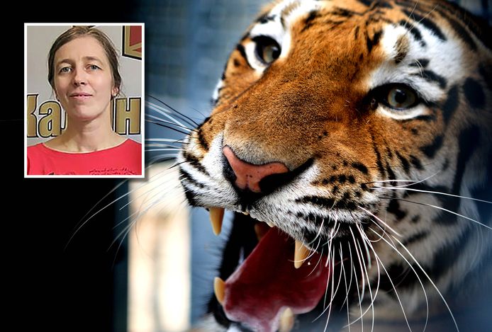 Nadezhda Srivastava werd aangevallen door een Siberische tijger.