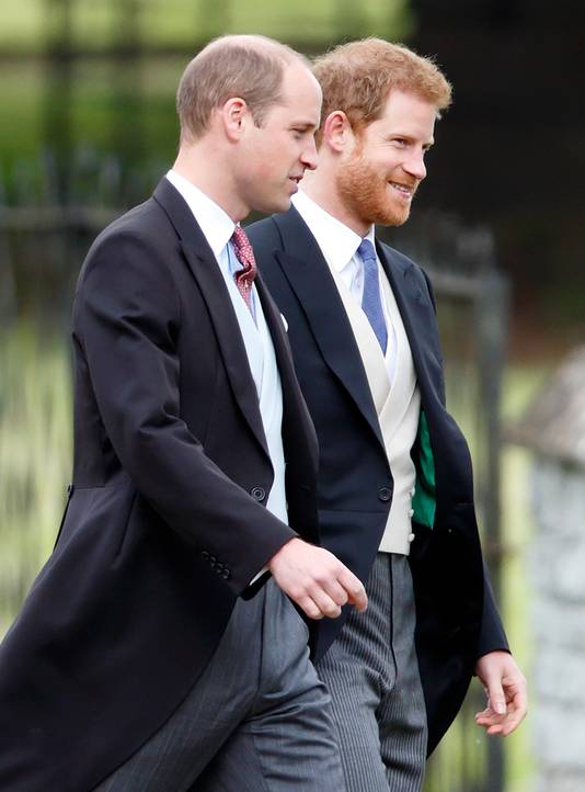 Prins William en prins Harry, de zonen van Diana.