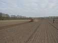 Strokenlandbouw: mooi voor de natuur maar ook voor de portemonnee? 