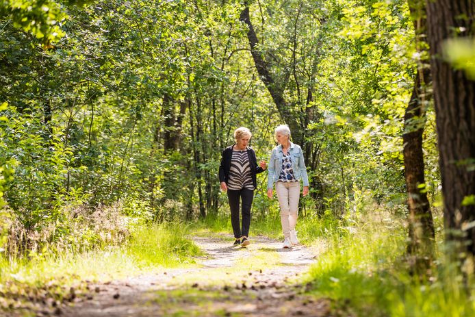 Bekkevoort organiseert wandelingen met aandacht voor spierversterkende oefeningen, beweegtips en algemeen welzijn.