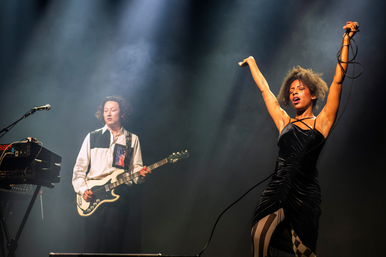 null Beeld Alex Vanhee