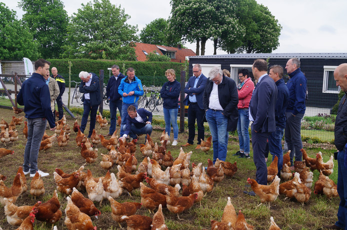 Hardenbergs college op werkbezoek bij kippenschuur.