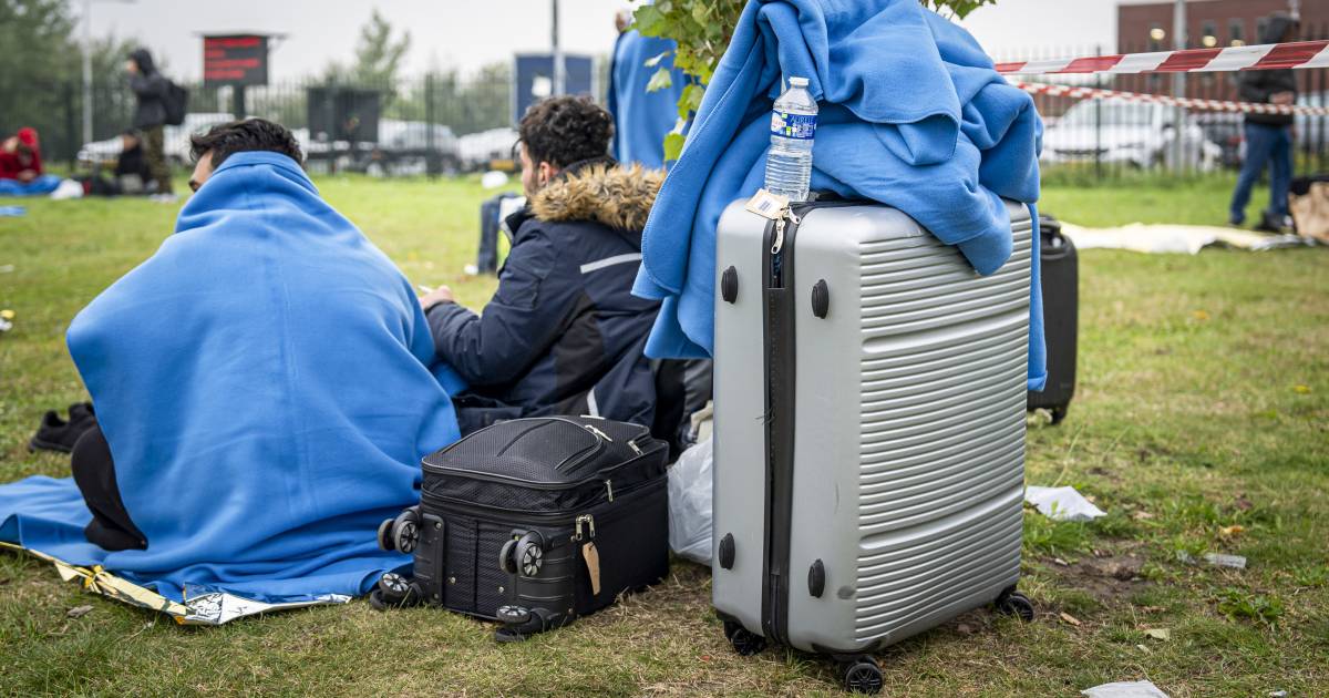 ‘Asielzoekers krijgen van de problemen in Nederland de schuld. Een gevaarlijke ontwikkeling’