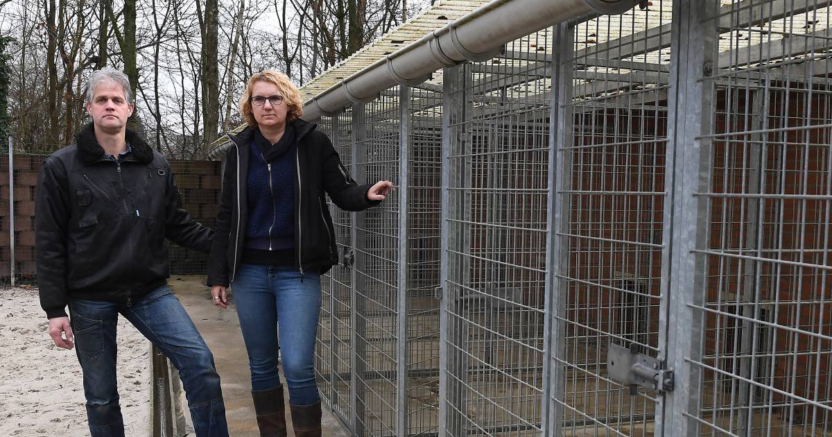 Lege hokken in de dierenpensions: geen vakantie, geen vuurwerk
