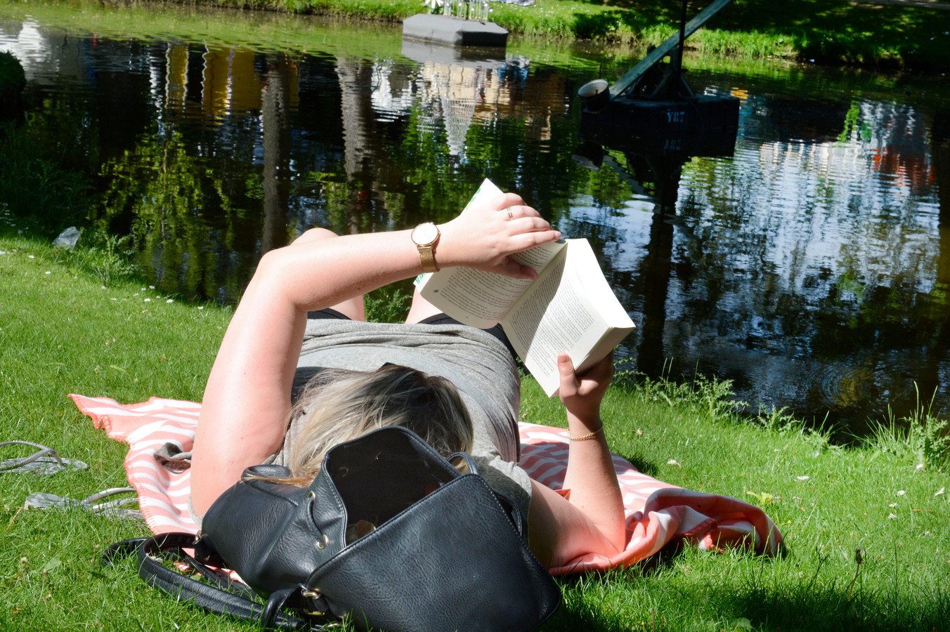 Met een goed boek, in de zon en op het gras bij de vijver in het Prins Bernhardplantsoen. Wat heb je nog meer nodig om domweg tevreden te zijn in Hengelo?
