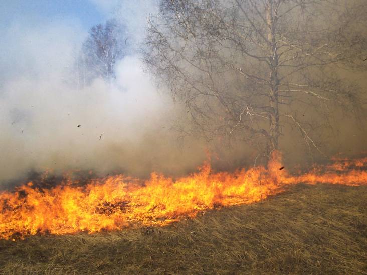 Natuurbrandje in Bergen op Zoom