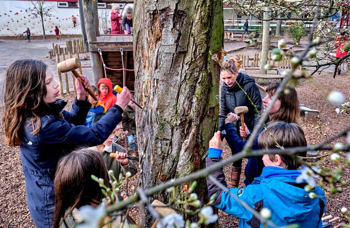 Leerlingen uit groep 8 van de Dordtse Vrije School aan de Dubbelmondestraat transformeren een oude boomstam om tot totempaal.