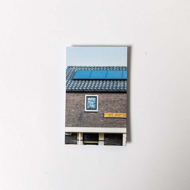 null Beeld Elisa Maenhout