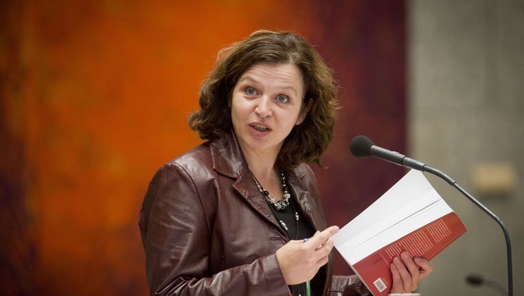 Minister Schippers van Volksgezondheid in de Tweede Kamer. Beeld ANP