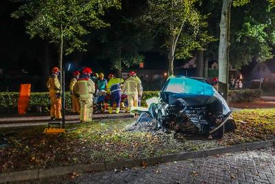Automobiliste botst tegen lantaarnpaal en boom in Spoordonk, gewond naar het ziekenhuis gebracht