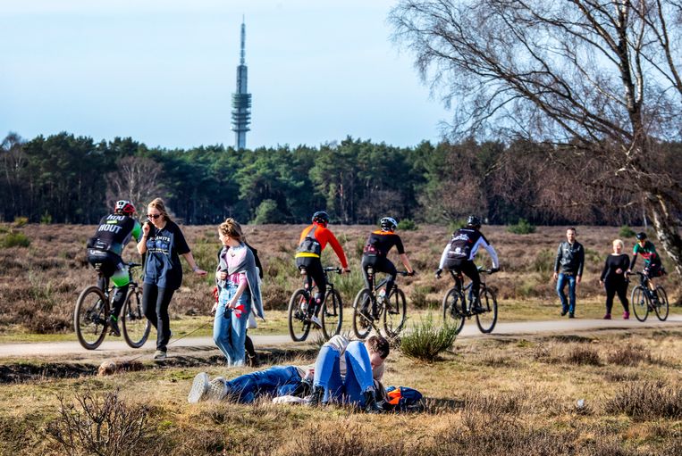 Genieten van een mooie lentedag op de hei nabij Hilversum.  Beeld Raymond Rutting  / de Volkskrant 