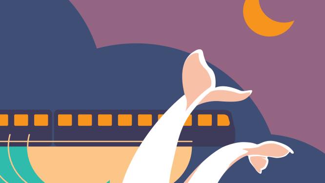 Iconische plaatsen in Spijkenisse staan op hippe posters en dat slaat direct aan