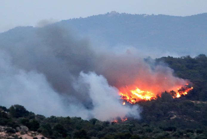 Bosbranden teisteren Ribera d'Ebre in de provincie Tarragona.
