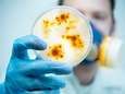 Acute ingreep RIVM: alle ziektes door ‘vleesetende’ bacterie moeten vanaf nu meteen gemeld worden