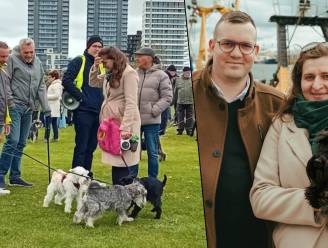 Derde Schnauzerwandeling lokte meer dan 140 honden en 280 eigenaars naar Oostende