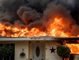 Wreedste bosbrand in geschiedenis van Californië: 250.000 mensen op de vlucht, 25 doden, 6.700 gebouwen verwoest