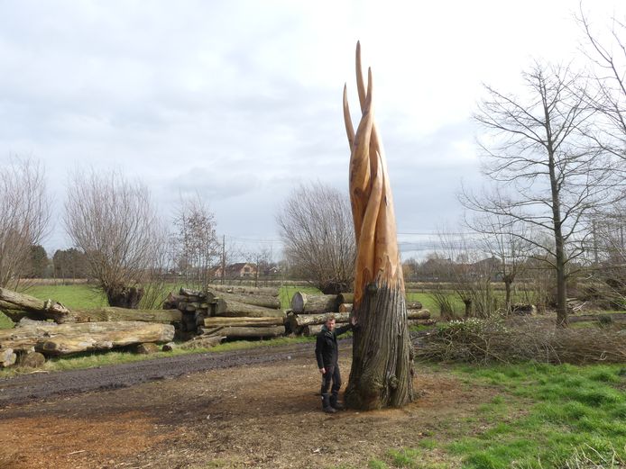 Joachim Louis bij een 300 jaar oude tamme kastanje die hij omtoverde tot Nature’s Elements, een monumentaal kunstwerk als ode aan de vier elementen.