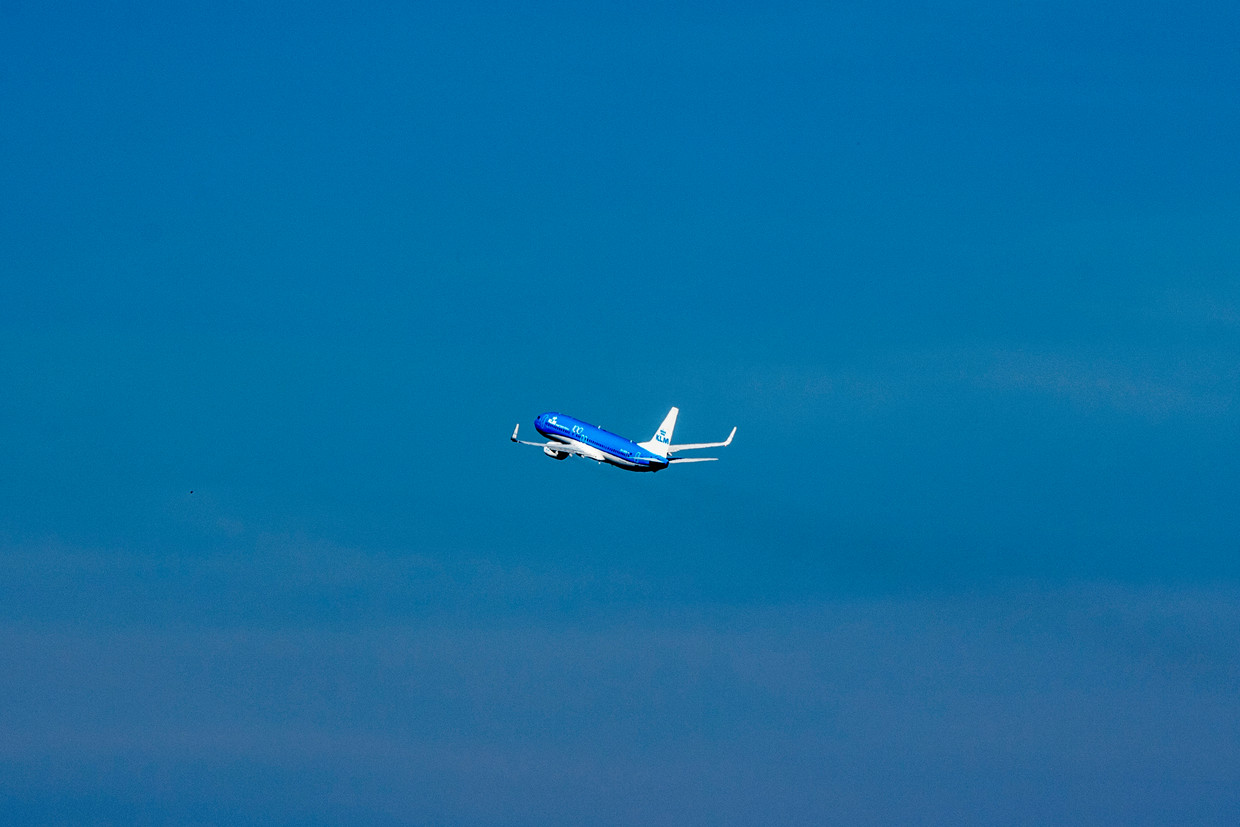 Get by with Zero Field Sofa Pictures / Lightrocket