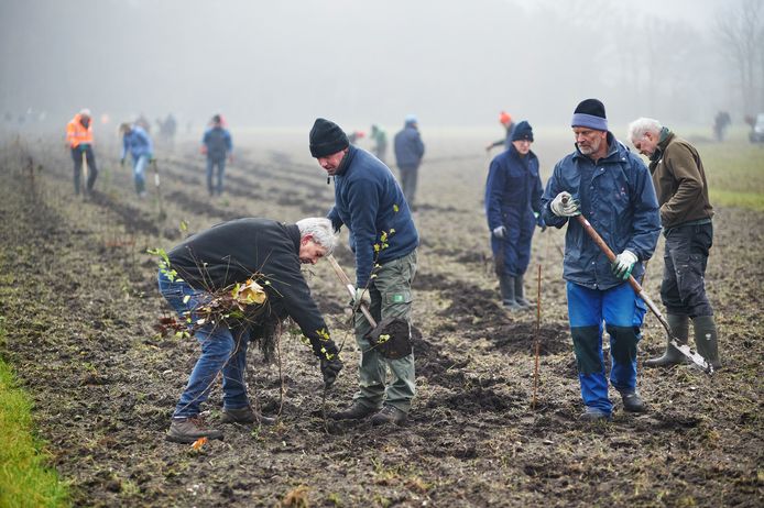 Vrijwilligers van stichting Vrijwillig Landschapsbeheer Uden (sVLO) plantten zaterdag een paar duizend bomen en struiken op de Maashorst in Schaijk. Ook Jan Willem Hermans en Marc Paulussen (links op de foto) deden hun goede werk.