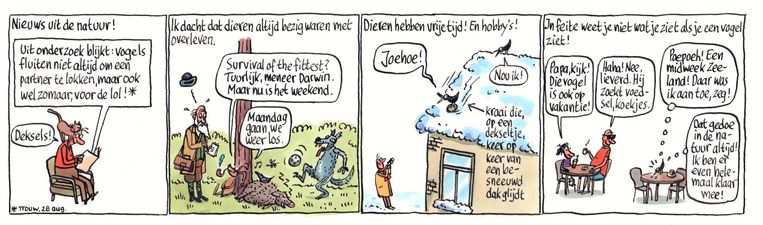 null Beeld Pieter Geenen