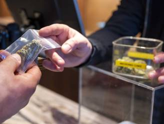 ‘Staatswiet’: In Nederland zal vanaf 2022 cannabis verkocht worden die in opdracht van de overheid wordt geteeld