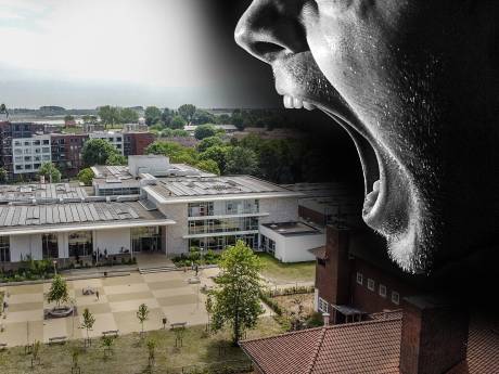 Personeel Lingecollege is gedrag schreeuwende bestuurder en directie zat en zegt massaal vertrouwen op