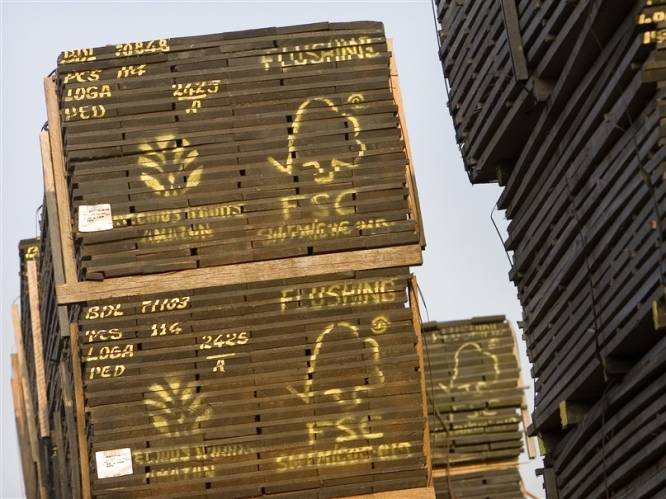 Handelaren uit Drenthe en Overijssel verdacht van import fout hout uit Brazilië en Suriname