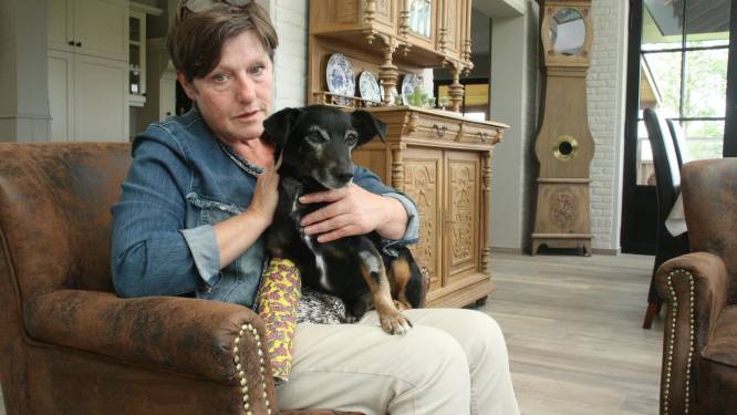 Hondje van dichtbij neergeschoten met jachtgeweer