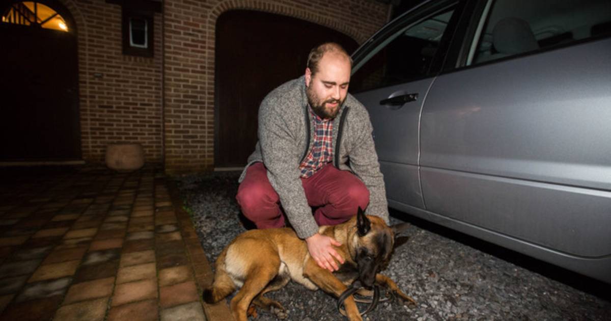 Ouders Van Door Hond Gebeten Kinderen Voor Ons Hoeft Uscko Niet Dood Buitenland Ad Nl