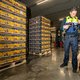 Wat kunnen we leren van de strijd tegen drugs in de Rotterdamse haven?