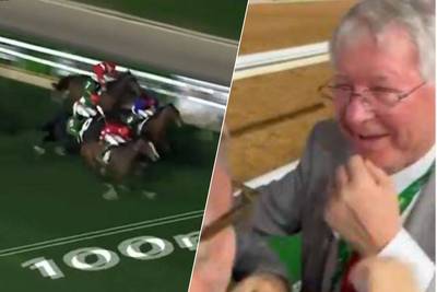 “Ik beleef mijn droom”: ‘Sir’ Alex Ferguson (82) strijkt meer dan miljoen euro op door winst van zijn racepaard