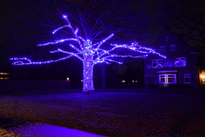 De Hoofdstraat in 's  Gravenmoer