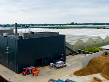 Tuinders willen wietbedrijf Cannamax niet aansluiten op hun biomassacentrale