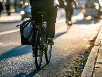 Nieuw fietspad tussen Bist en Prinshoeveweg in Ekeren afgewerkt