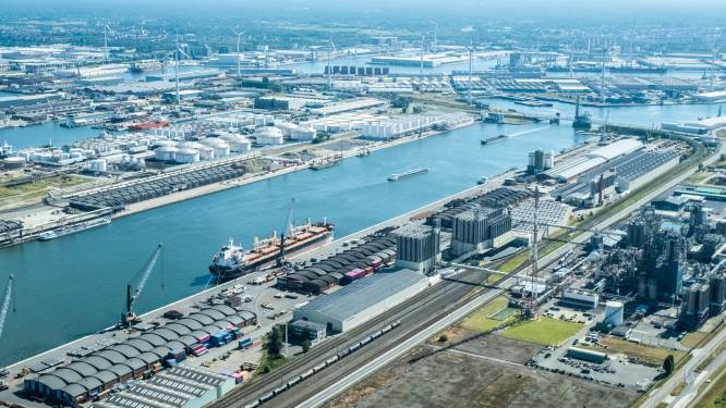 Luik Natie neemt ‘eigen’ elektriciteitsnet in Antwerpse haven in gebruik