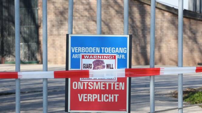 Tienduizenden dieren van bedrijf uit Hedel geruimd en de teller in Nederland blijft maar doorlopen: ‘Dit gun je niemand’