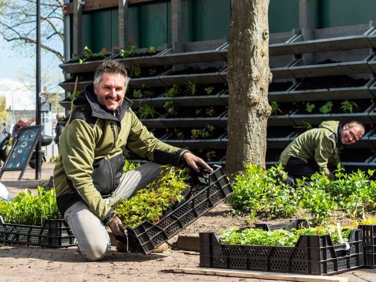 ‘Geitenwollen sok’ Bram wilde werken én iets doen voor de planeet: ‘Dat is helemaal uit de hand gelopen’