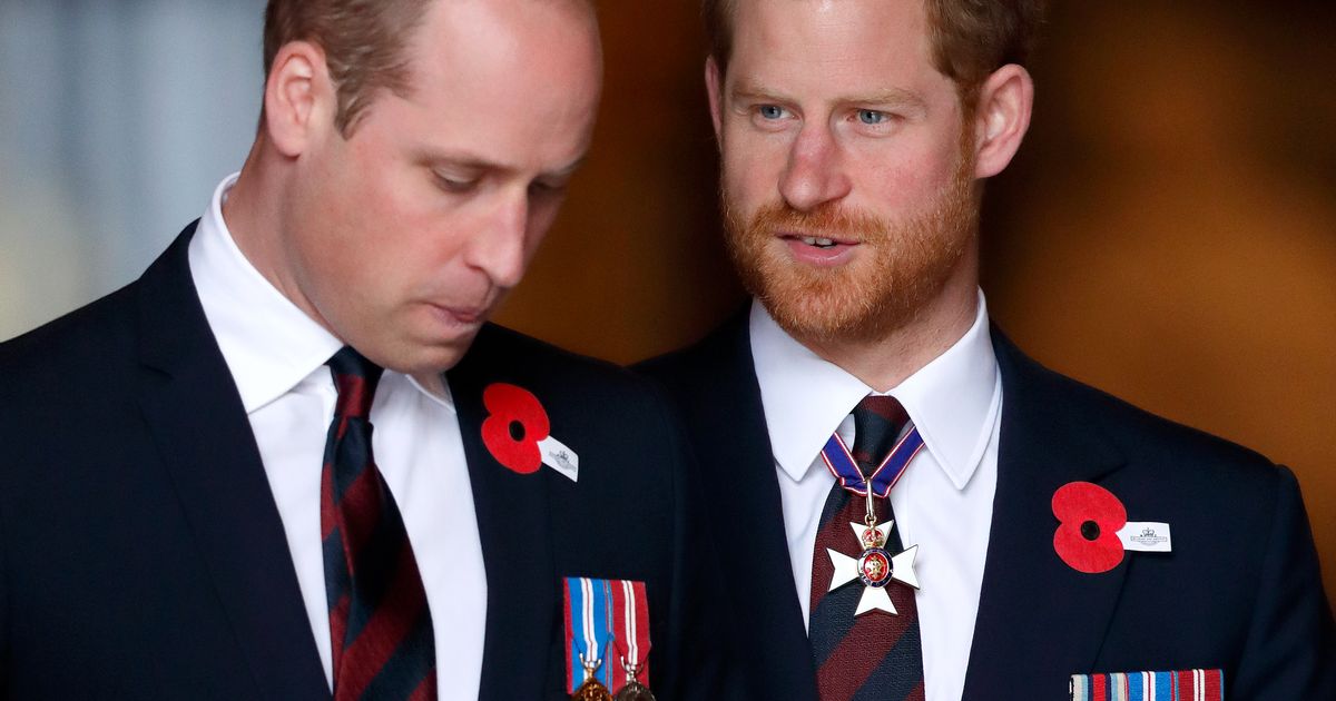Prins Harry en prins William hebben elkaar al maanden niet gezien of gesproken “Het is geen