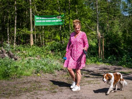 Broedseizoen: meer controles loslopende honden op Duivelsberg, in De Bruuk en Millingerwaard