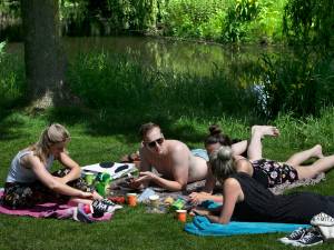 Eindhoven zakt op ranglijst van aantrekkelijke steden: ‘Velsen staat hoger, lekker met Tata Steel als buurman’
