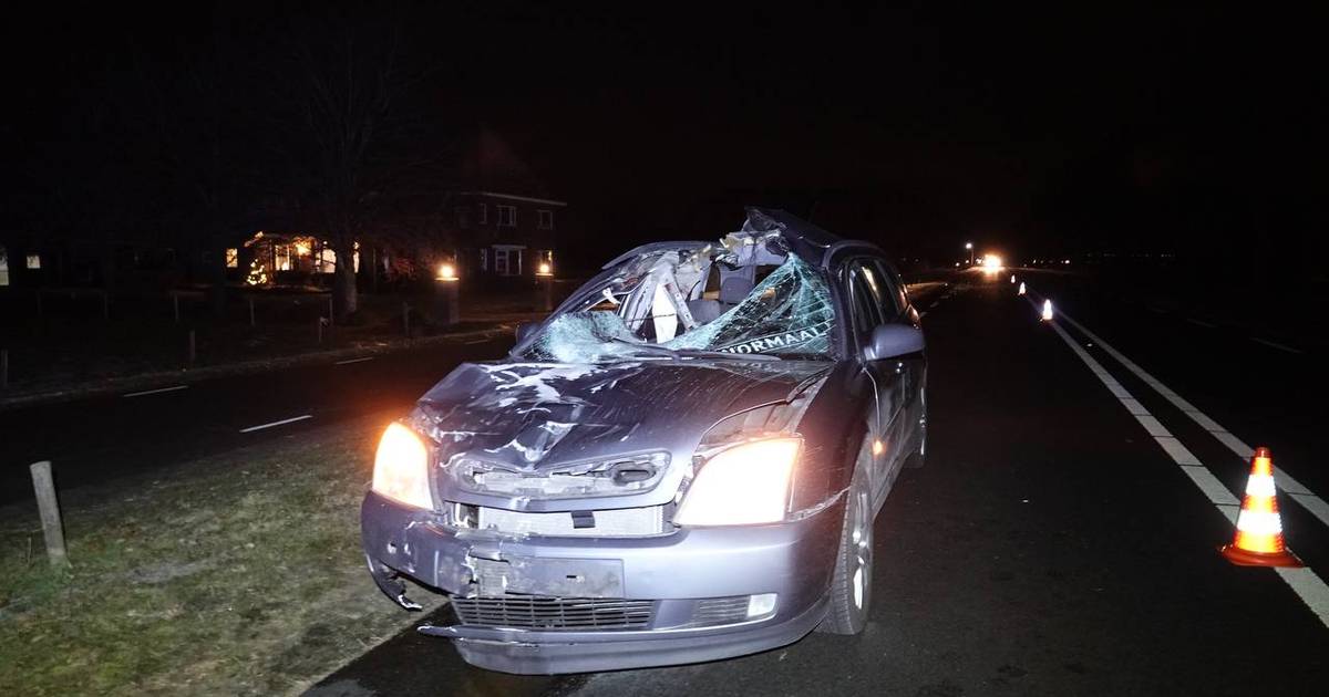 Losgebroken paard dood na aanrijding met auto in Bergentheim, bestuurder gewond naar ziekenhuis.